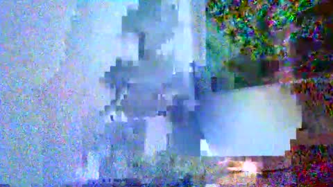 donosus online show from March 5, 10:55 am