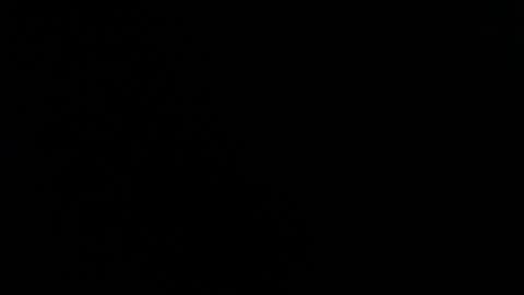 drako_monstercock online show from March 14, 6:48 pm