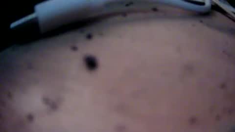 dreamy2020 online show from January 22, 4:12 pm