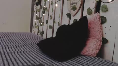 duvan_montes online show from November 18, 2:54 pm