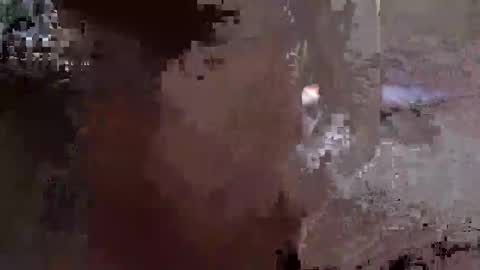 ebert1967 online show from January 8, 1:52 pm