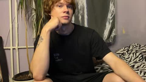 Eitan online show from November 4, 3:02 pm