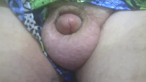 elvisandme online show from February 5, 1:04 am