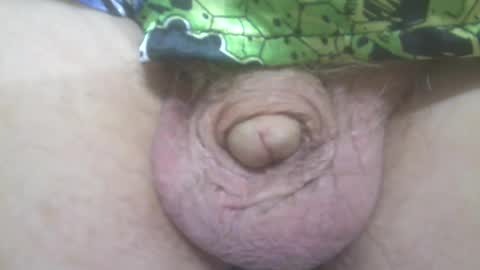 elvisandme online show from March 12, 12:31 am