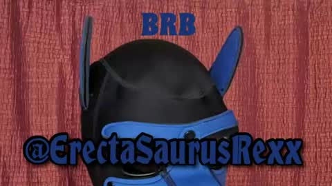 ErectaSaurusRexx online show from August 3, 8:04 pm