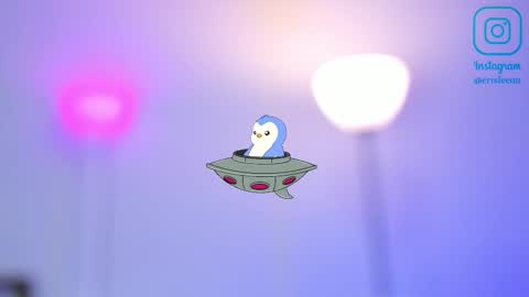   online show from November 11, 8:47 pm