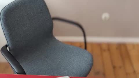 ernoy online show from March 28, 11:10 am