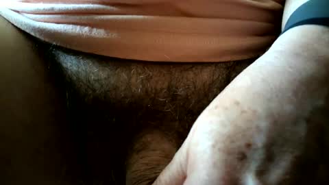 evamale online show from June 17, 2:41 pm