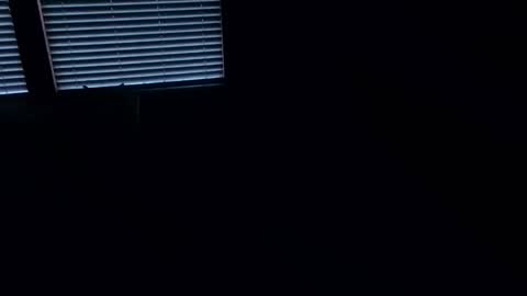 exhibitman69_ldb online show from February 23, 12:23 am