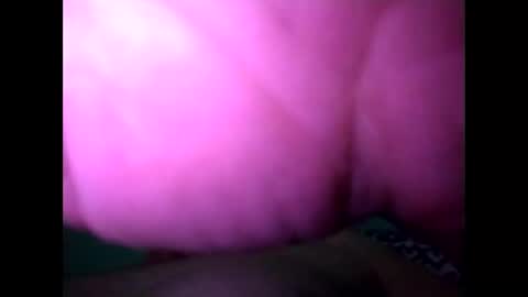 experttreecompany online show from February 18, 9:18 am