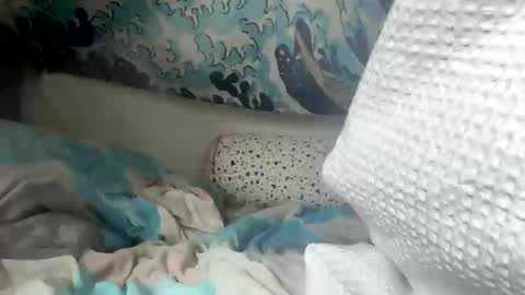 falcon797 online show from February 10, 12:18 pm