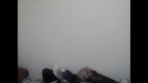 Snapshot of farafonoff chatting on January 26, 5:02 am farafonoff online show from January 26, 5:02 am