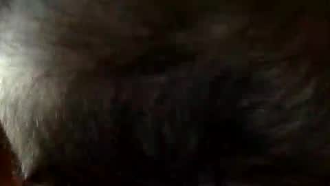 FastStr0ker10 online show from December 21, 9:12 pm