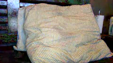 HairyBrownGuy online show from February 22, 1:01 pm