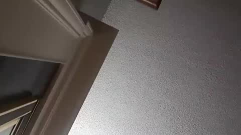 Snapshot of followthewhiterabbittail chatting on October 2, 2:26 am Have fun remembering u online show from October 2, 2:26 am