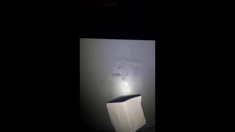 fookingsam online show from January 5, 6:00 pm