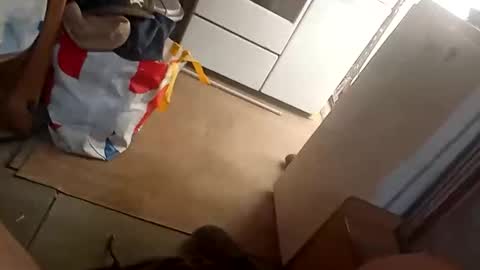 Fouducu online show from March 16, 12:09 pm