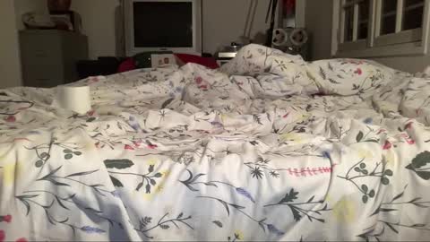 frankybossb online show from March 10, 9:21 pm