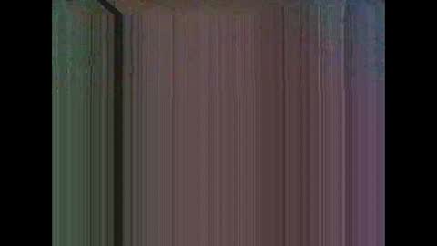 Warwick online show from February 3, 3:59 am