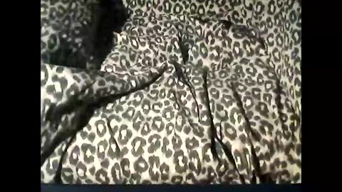 Snapshot of funcyman3 chatting on February 18, 6:06 pm funcyman3 online show from February 18, 6:06 pm