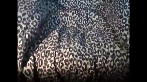 Snapshot of funcyman3 chatting on October 21, 7:11 am funcyman3 online show from October 21, 7:11 am