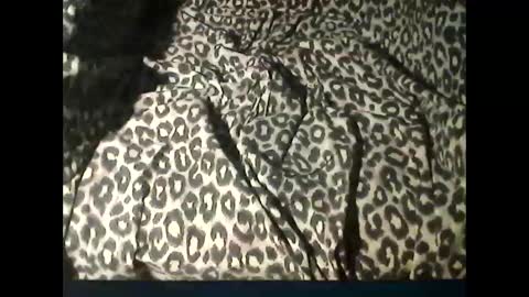 Snapshot of funcyman3 chatting on January 29, 5:45 pm funcyman3 online show from January 29, 5:45 pm