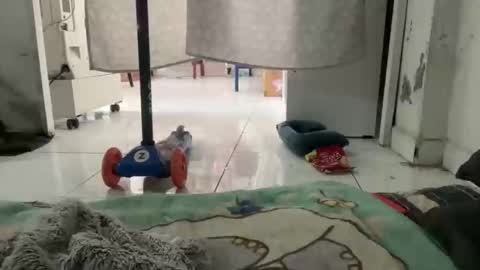 gab021593 online show from November 14, 5:25 pm