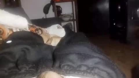 gaelrojas268938895 online show from November 4, 11:55 am