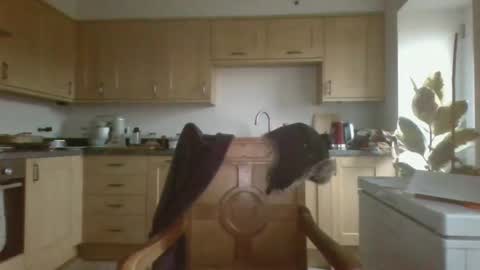 galacx online show from February 21, 4:48 pm