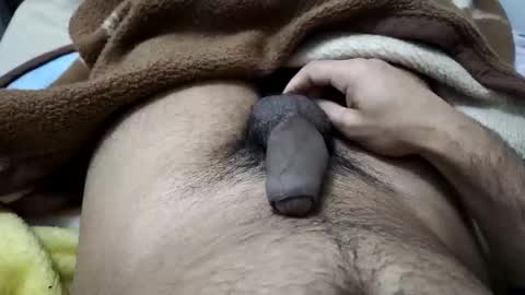 gbbdjr123 online show from January 12, 3:16 pm