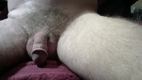 gemini_2 online show from December 7, 2:24 pm