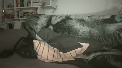 Geon online show from January 17, 7:22 am