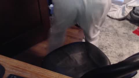 gethoggy online show from January 25, 4:35 pm