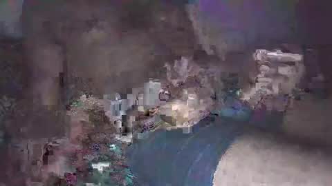 Big Brown Cock online show from February 16, 7:16 pm