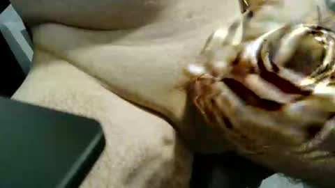 ghost1805 online show from December 3, 8:48 pm