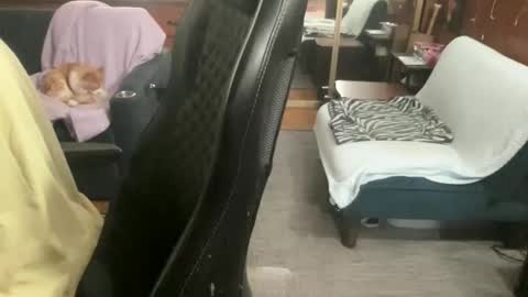 ghostboygbc online show from March 29, 7:08 am