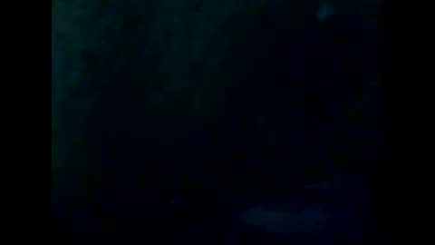 PencilDick online show from April 2, 9:06 am