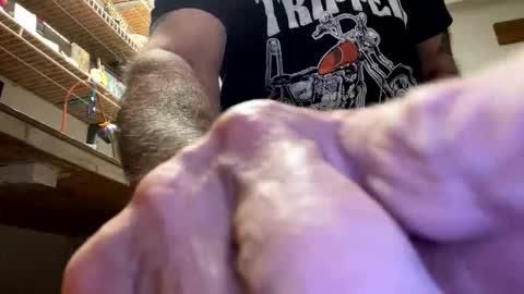 Snapshot of gngnxxx chatting on October 23, 4:49 am gngnxxx online show from October 23, 4:49 am