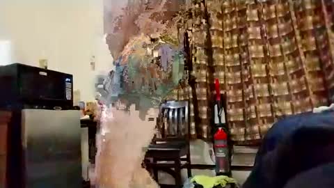 goblue4133 online show from December 29, 10:36 pm