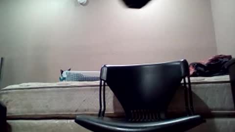 Jack online show from February 19, 12:56 pm