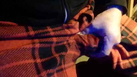 Snapshot of h2omygod chatting on January 22, 11:01 am H2omygod online show from January 22, 11:01 am