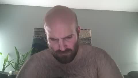 Hairiest Bear online show from March 15, 5:04 am