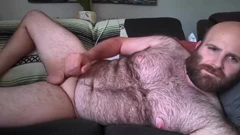Hairiest Bear online show from June 26, 7:05 pm