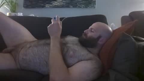 Hairiest Bear online show from June 14, 5:53 am