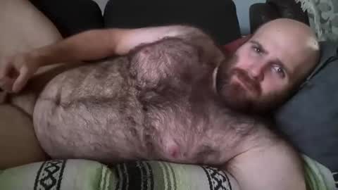 Hairiest Bear online show from November 14, 2:29 pm