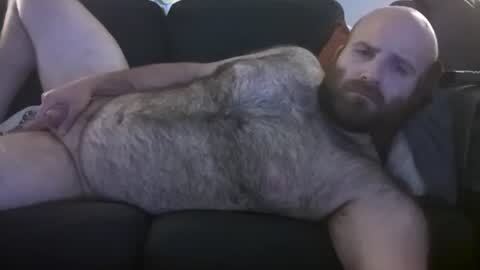 Hairiest Bear online show from July 10, 5:22 am