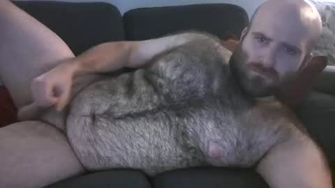 Hairiest Bear online show from November 9, 7:56 am