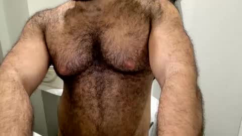 Snapshot of hairyinstinct chatting on November 1, 12:36 am hairyinstinct online show from November 1, 12:36 am