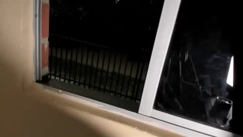 halan online show from November 9, 4:27 am