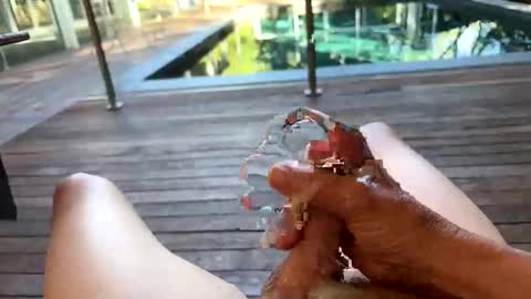 happpyp online show from November 18, 9:06 pm